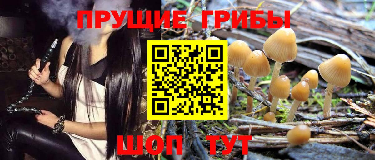 Галлюциногенные грибы Psilocybe  Вход с VPN  Псилоцибиновые грибы Psilocybine cubensis  Ейск 
